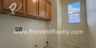 15847 Barrel Cactus Ln Gallery 11