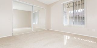 Carlyle Square Apartment Homes Gallery 40