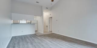 k670 - Buena Vista #306 Gallery 10