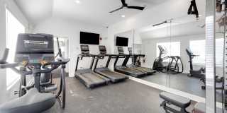 The Meadows Gallery 18