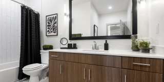 Lamar Union Gallery 26