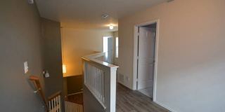 956 PERSIAN GDN Gallery 6