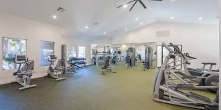 Sage at Green Valley Gallery 18