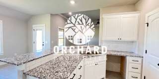 Single-Family Home- Stunning Wellington Plan Single-Family Home- Stunning Wellington Plan Gallery 6