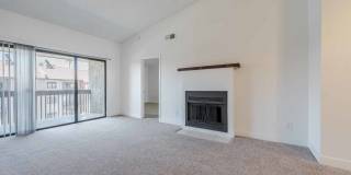 Renaissance Gallery 5