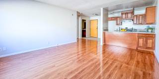 215 S. Occidental Blvd. Gallery 15