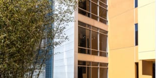 Soma Residences Gallery 4