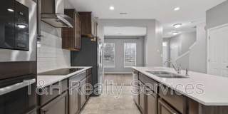 156 Haugh Street Gallery 12