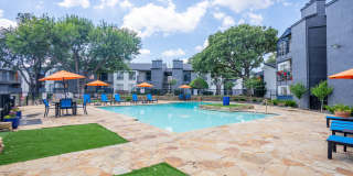 District 2308 Gallery 13