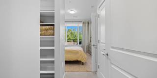 The Galaxy at Polaris Gallery 114