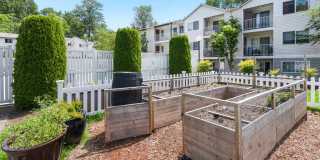Sage Apartments Gallery 10