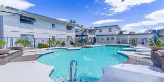 Rise Biltmore Gallery 56