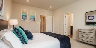 Towns at Andrew's Park Gallery 11