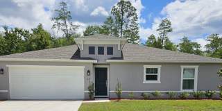 *****BEAUTIFUL 4/2 HOME IN PALM COAST SCREENED IN LANI *****BEAUTIFUL 4/2 HOME IN PALM COAST SCREENED IN LANI Gallery 1