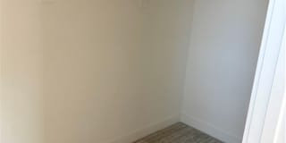 2074 Wild Wood Gallery 16