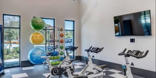 Nexus Brandon Gallery 28