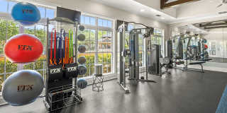 Ansley Place Gallery 20