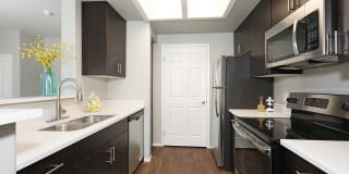 Canyon View Gallery 15