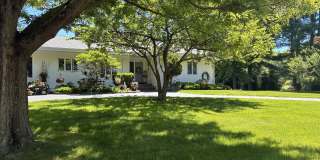 10 Heron Road Gallery 3