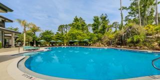 Paradise Island Gallery 27