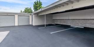 Saddleback Pines Gallery 14