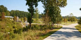 Osprey Apartments Gallery 77