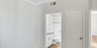 The Palazzo Apartments Gallery 12