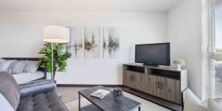 The Morrow Gallery 15