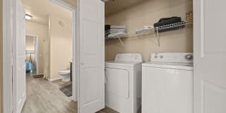 Bella Mirage Gallery 24