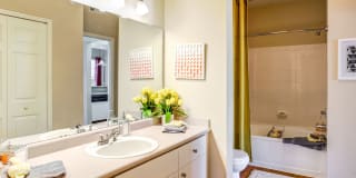 Park Central Gallery 12