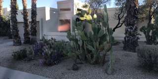 6707 E Kelton Ln Gallery 1