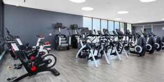 AVA Hollywood at La Pietra Place Gallery 27