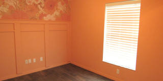 2704 Fern Palm Dr Gallery 12