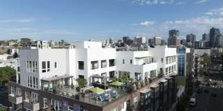 AV8 Gallery 6