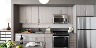 The Apollo Gallery 1