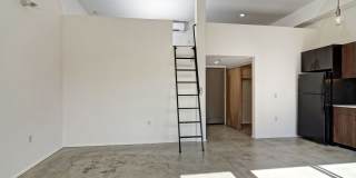 The Louie Gallery 4
