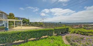 The Tradition Gallery 5