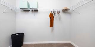 Collins Preserve Gallery 11