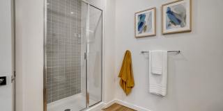 Legacy at Fitz Gallery 67