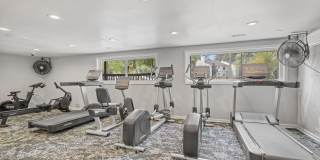 The Willow Gallery 31