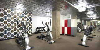 The Blackwood Gallery 7