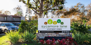 Sycamore Lane Gallery 1