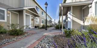 Peaks at the Park Peaks at the Park Gallery 7