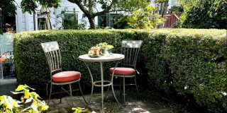 2937 Scott Gallery 33