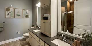 Novus Westshore Gallery 16