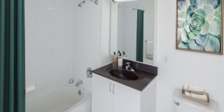 AVA Fort Greene Gallery 12