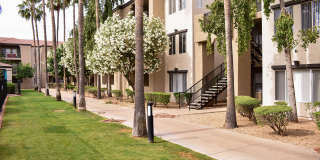 Cortina Apartments Gallery 10