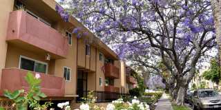 1349 N Detroit Apartments Gallery 3