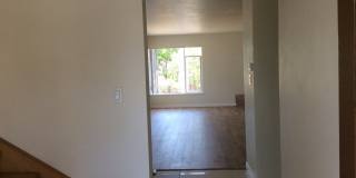 AUGUST 2026 SDSU AREA HOME - 4 bedrooms / 3 bath - With Big yard on Canyon! Gallery 9