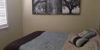 79760 Desert Willow Street Gallery 14